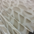 sea-shell